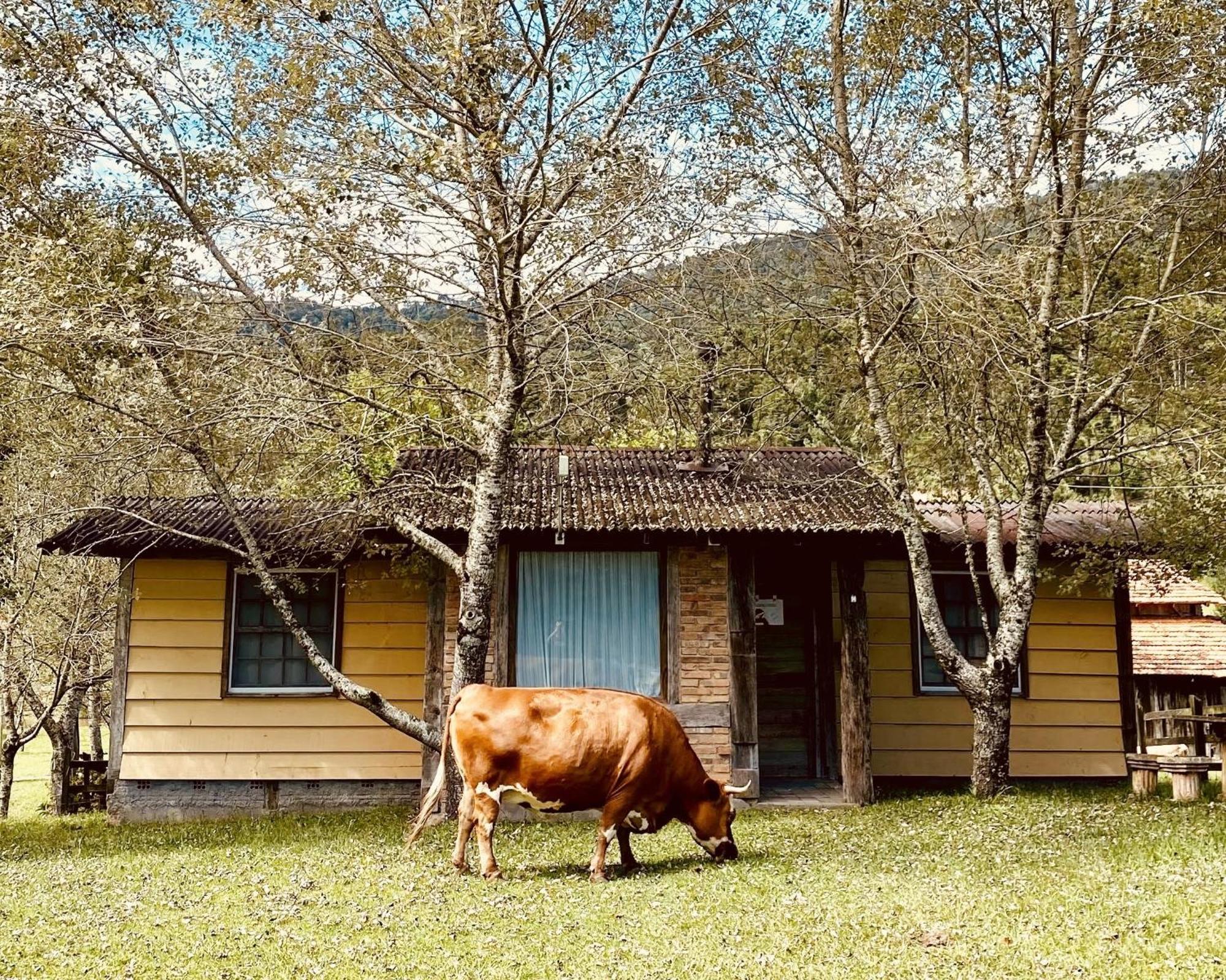 Hotel Estalagem Santo Antonio Urubici Exteriér fotografie